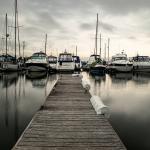 Boats in poole harbour